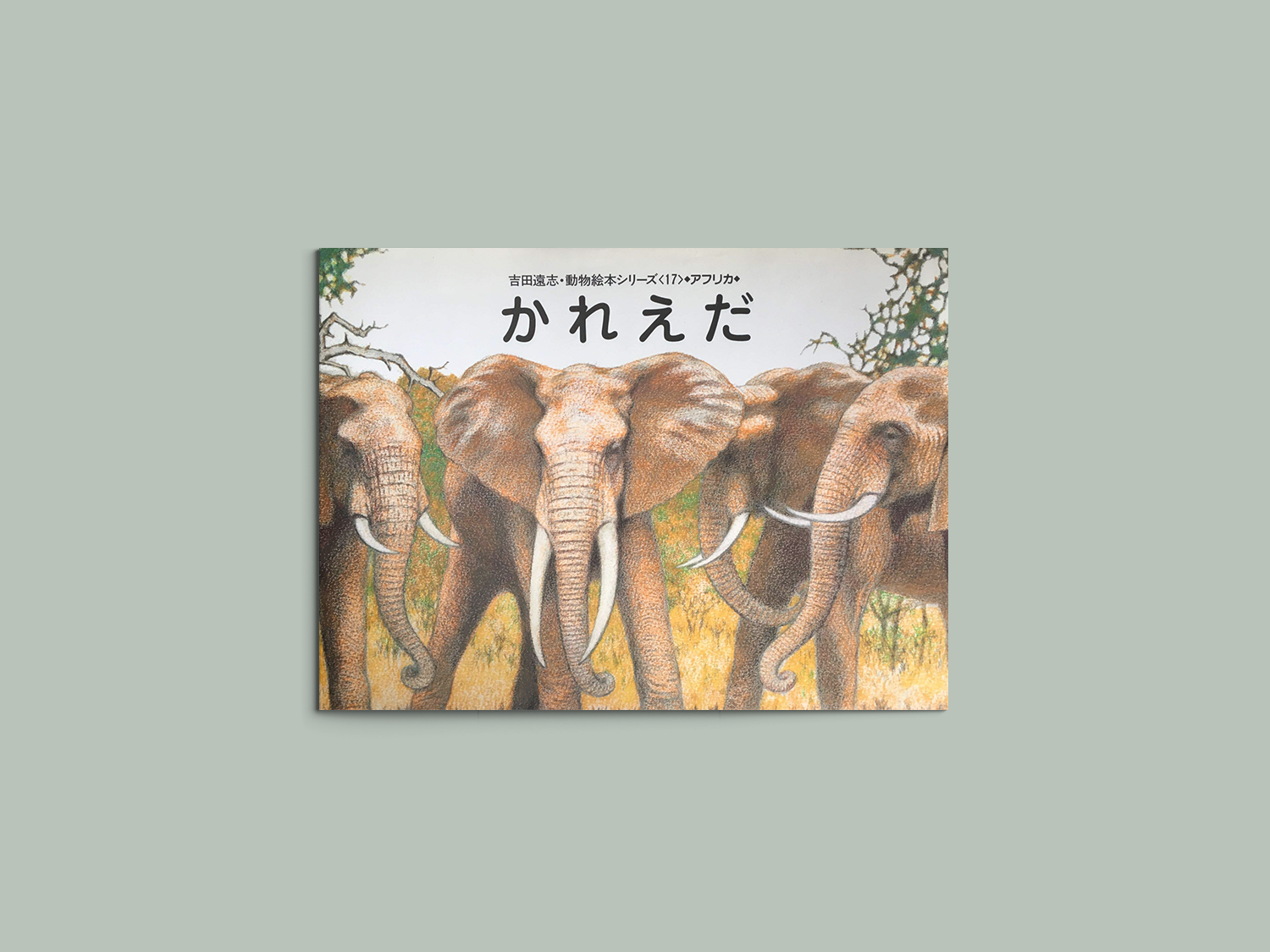 大特価新作吉田遠志・動物絵本シリーズ　アフリカ　1〜12 絵本・児童書