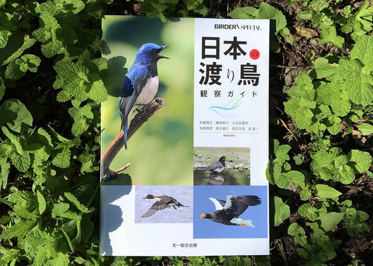日本の渡り鳥 観察ガイド