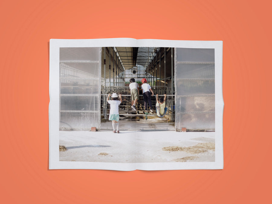 庭しんぶん #100「100」