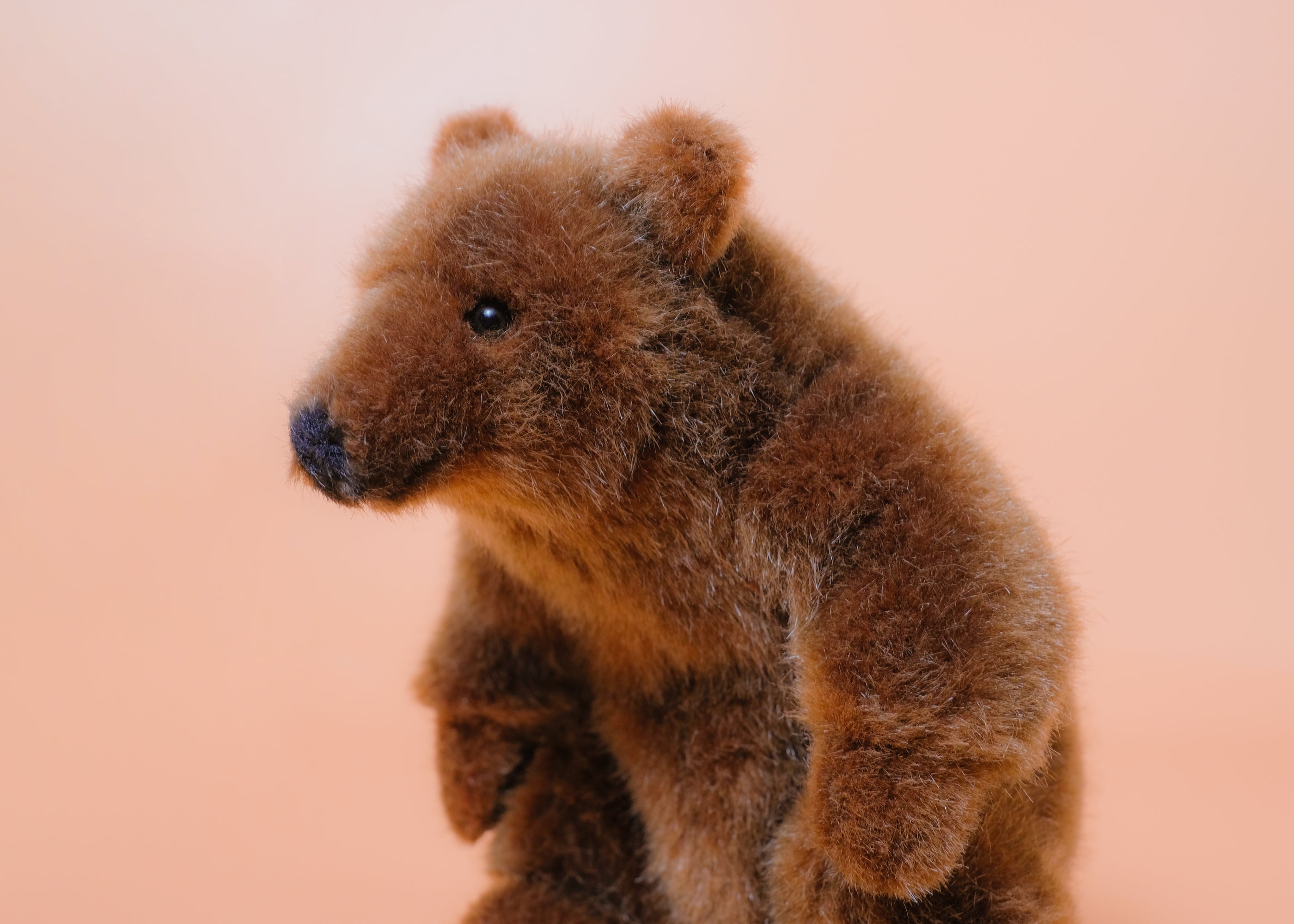 お座りベア – niiiwa