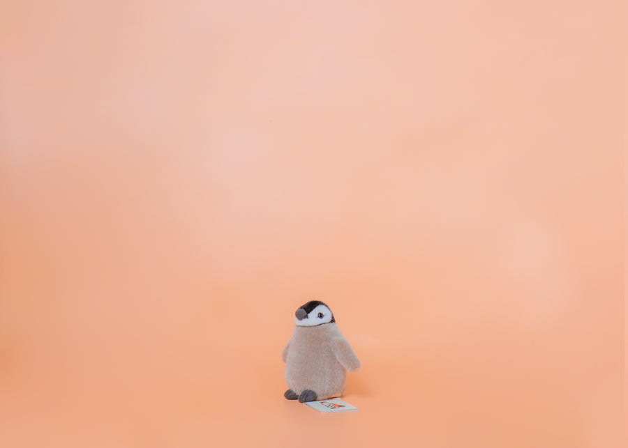 皇帝ペンギンの子 ミニ