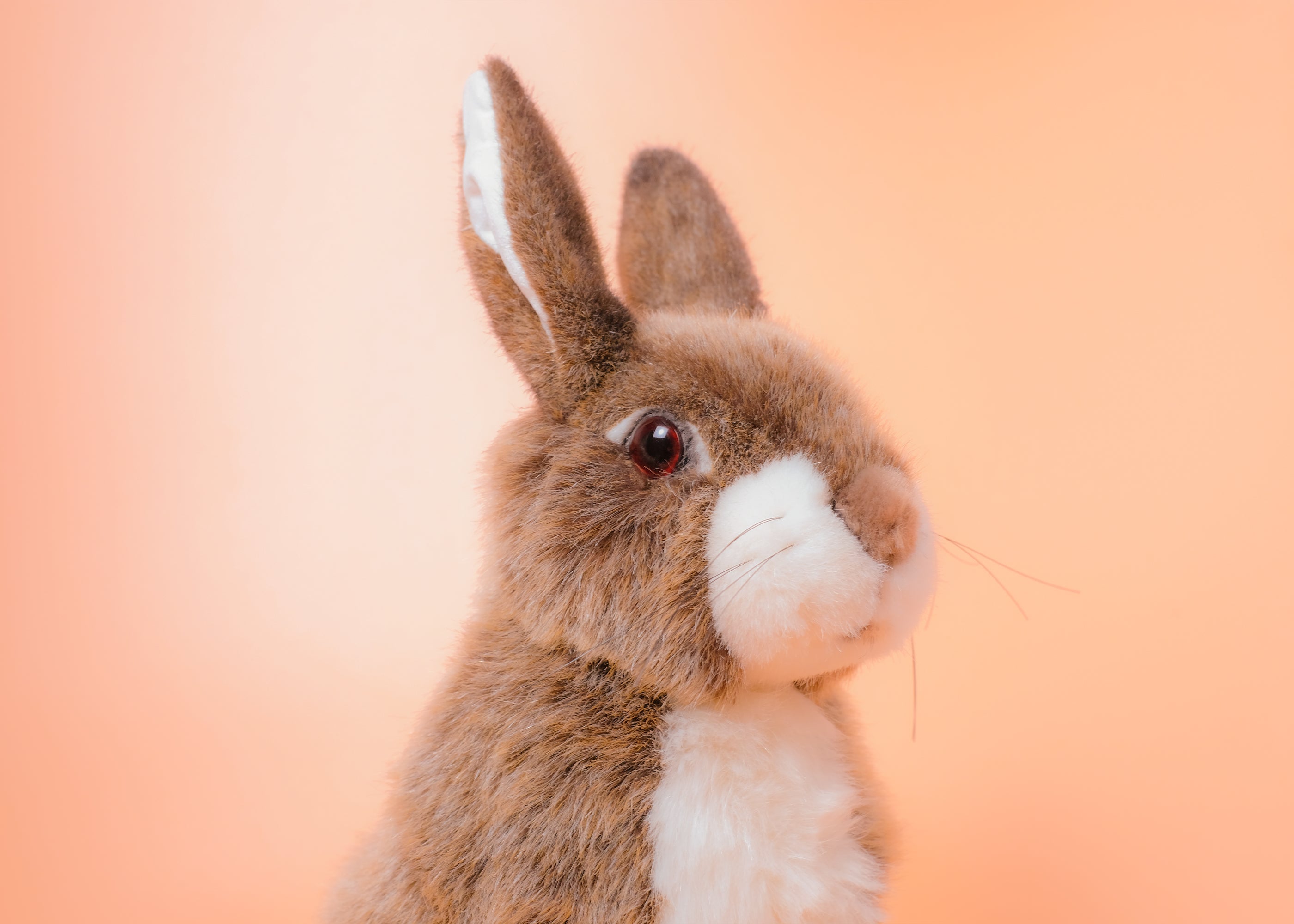 うさぎ立ち ベージュ – niiiwa