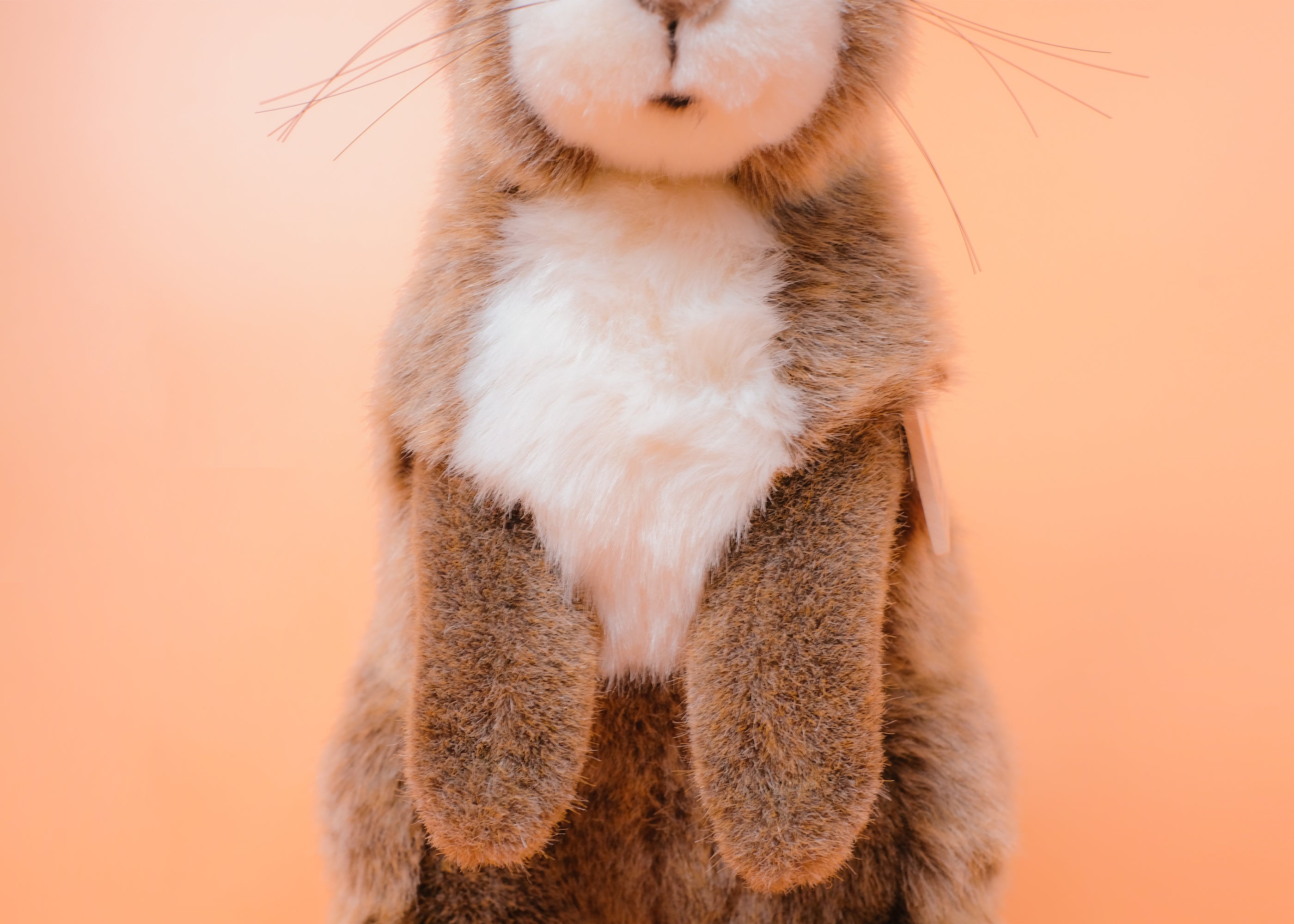 うさぎ立ち ベージュ – niiiwa