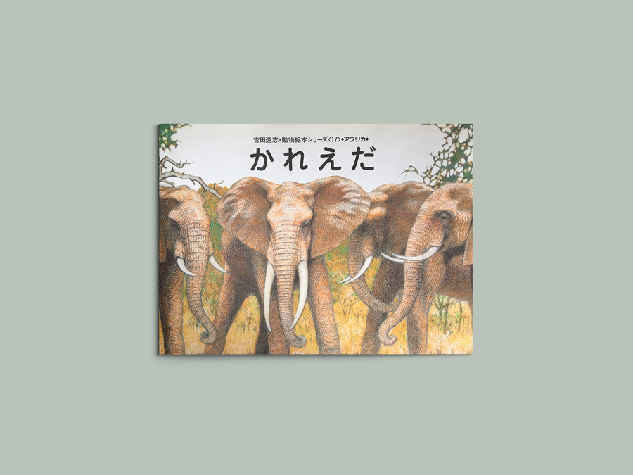吉田遠志動物絵本シリーズ アフリカ 1〜17全巻 - 全巻セット